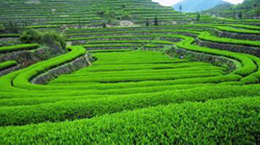 ЙCB(ti)r(nng)I(y)߀ԭr(nng)I(y)B(ti)|(zh)