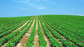 ЙCr(nng)I(y)Gɫl(f)չ