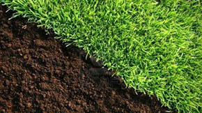 ӱB(yng)ֳȾݼSȥăˣ