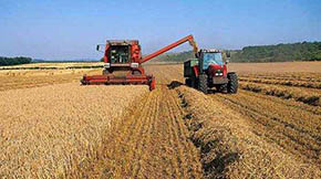 2021ʡr(nng)C(j)ُ(gu)a(b)N18|Ԫ