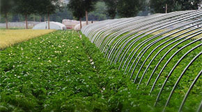 Ϣ2021ЙC(j)a(chn)ʩa(b)NҪ(li)5(g)Ϣ