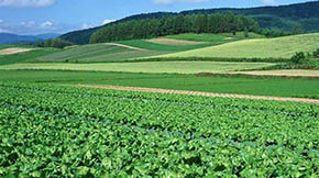 Y(ji)(gu) pԴȾ |ʡЙCʩ^2000f