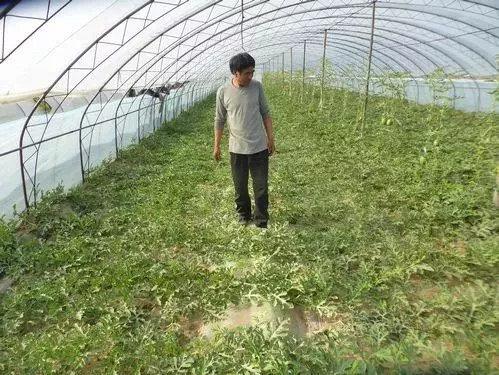 r(nng)I(y)r(nng)岿ֹݼSֱ߀ȫ(yn)