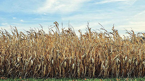 Ĵʡɽк(sh)(xing)ʩ ӴնC