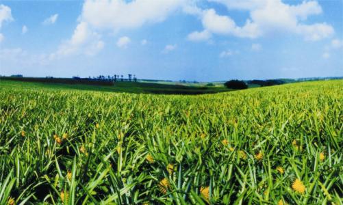 ЙC(j)O(sh)l(f)չ?ji)?sh)ɓ