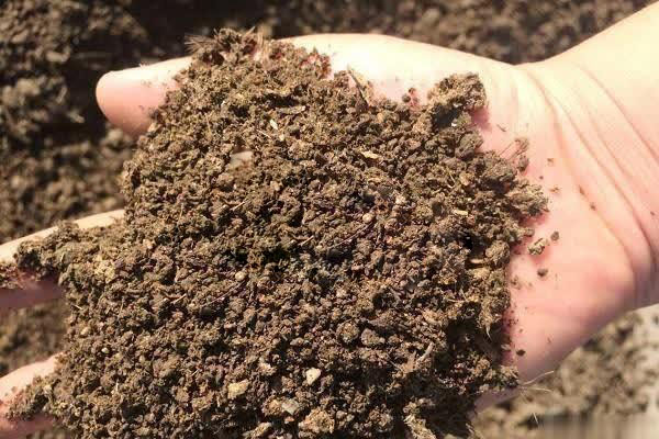 l(f)չ(f)΢ϣǽİl(f)չڅ(sh)