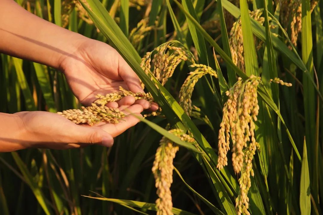 붨{(dio)ЙC(j)ʌȫٰl(f)