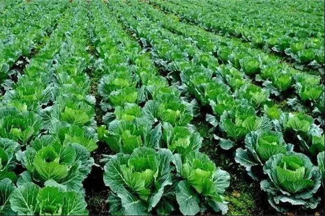 M(jn)r(nng)I(y)YԴo(h)M(jn)r(nng)I(y)UC