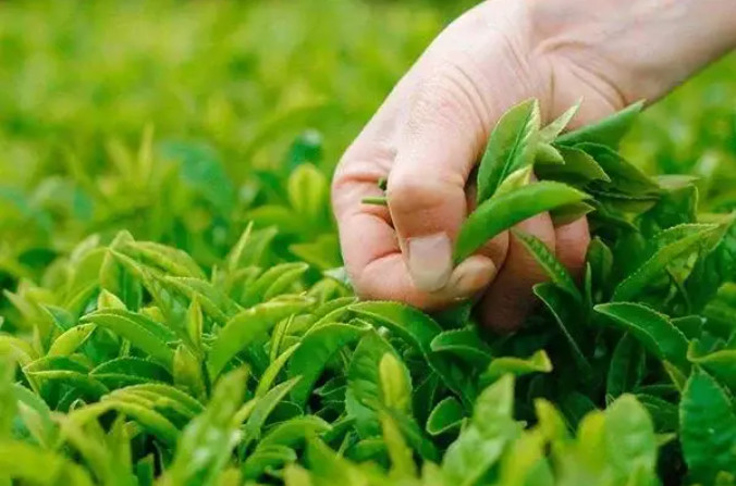 r(nng)Uwﻯ ۼS׃da(chn)I(y)