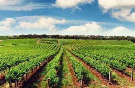 οƌW(xu)ȫʩЙC(j)