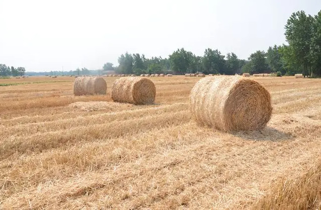 Uϡ׃ϡGɫr(nng)I(y)l(f)չ