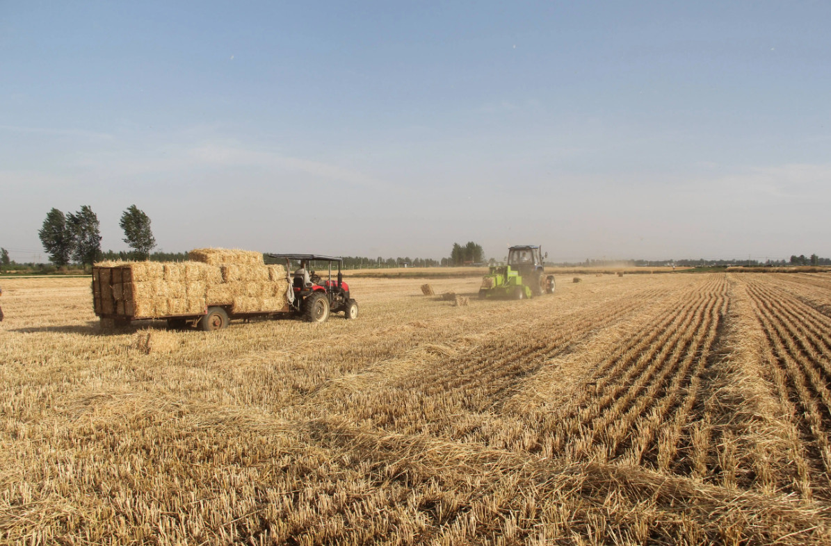 r(nng)I(y)r(nng)岿m(x)ֽ֧նYԴ_l(f)úţB(yng)ֳI(lng)ĿƼаl(f)