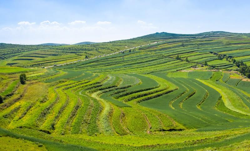 ЙC(j)a(chn)Gɫr(nng)I(y)l(f)չ