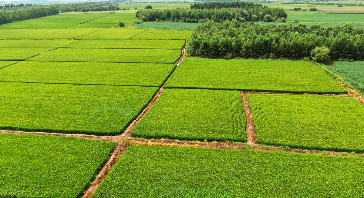 죺S߀GɫNB(yng)ѭh(hun)r(nng)I(y)