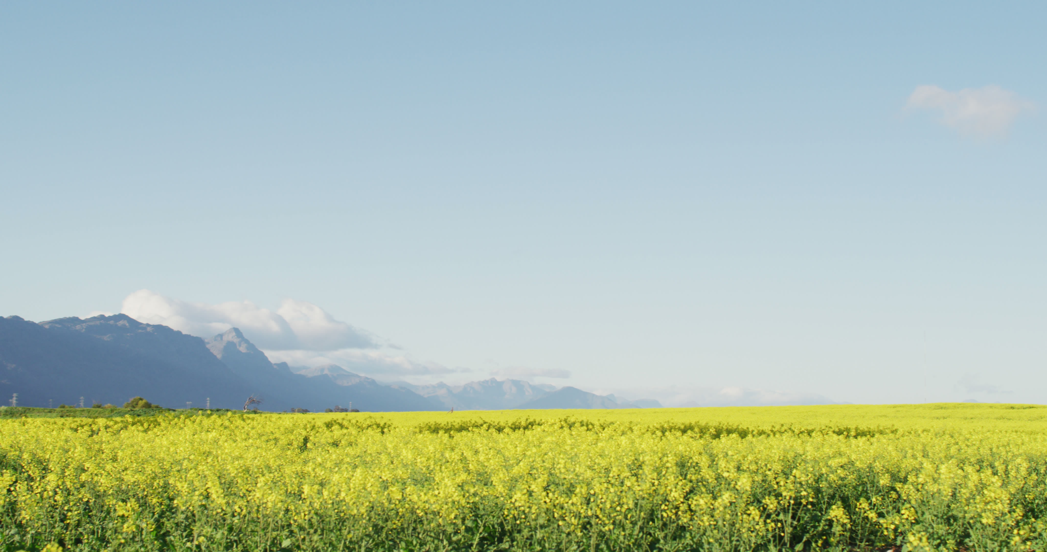 ЙC(j)ʰl(f)չF(xin)^