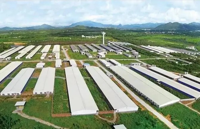 M(jn)B(yng)ֳSYԴӿ옋(gu)NB(yng)Y(ji)r(nng)ѭh(hun)l(f)չ¸