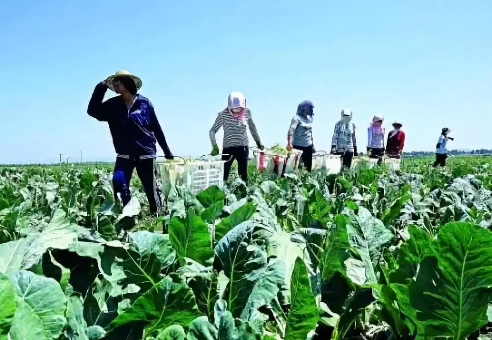 M(jn)һ_ݼS߀Ҫ(qing)B(yng)ֳȾO(jin)֪ܵͨ