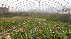 ͬճY(ji)(du)ЙC(j)ʏ(f)ʳӰ푷