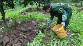 ЙC(j)cr(nng)ҷʵą^(q)e