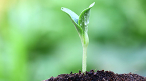 ЙC(j)r(nng)I(y)֮ķ