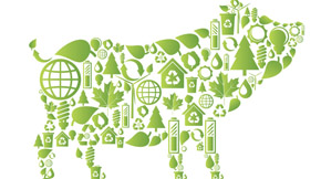 有機肥+達標排放是集中治理豬糞污水的好模式