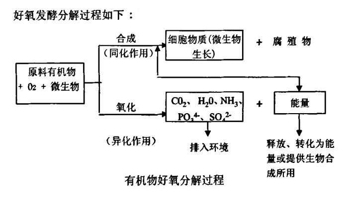 好氧發(fā)酵的過程.jpg