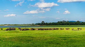 iSţSl(f)ЙC(j)ʑ(yng)עĎׂ(g)С(x)(ji)