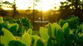 ЙC(j)ʰl(f)ЙC(j)a(chn)е