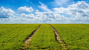 B(ti) l(f)չGɫr(nng)I(y)