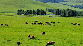 r(nng)I(y)P(gun)M(jn)һӿݼSYԴõ߽