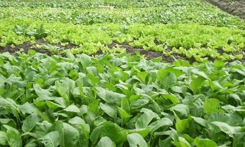 ЙC(j)ЧЙC(j)O(sh)Sͨ_(d)ع㿂Y(ji)ԭ