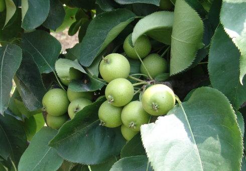 ЙC(j)O(sh)ƽDC(j)ע(xing)Щ?