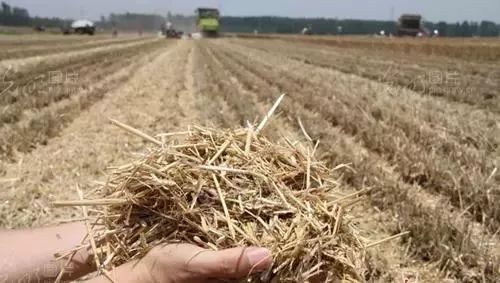 `оGɫl(f)չ M(jn)նYԴ