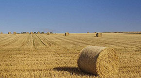 նЙC(j)ʼӹ蹤ˇcO(sh)