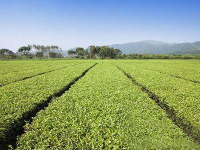 kһ(g)С͵ЙC(j)ʼӹSҪЩm(x)ͶYX(qin)