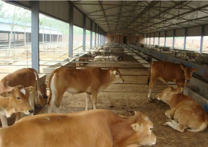 ţSЙC(j)a(chn)O(sh)ҪX(qin)