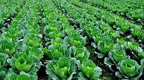 ЙC(j)ʰl(f)ͳҊ(jin)(wn)}