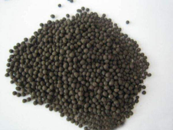 ЙC(j)Ҫˣļѹ2021(gu)߁(li)