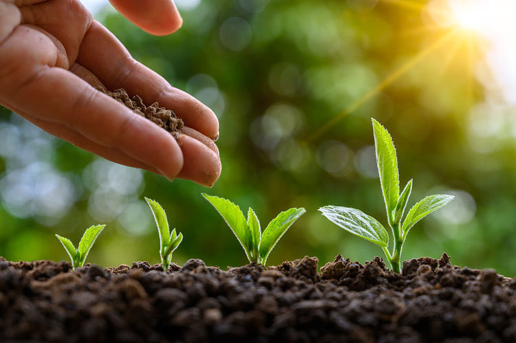 ҇ЙCr(nng)I(y)ʬF(xin)傀l(f)չڅ