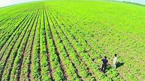 ЙCa(chn)^̶ЩҪעĆ}?