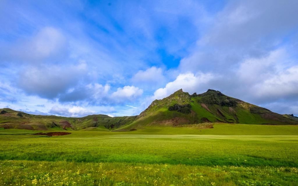 ЙCa(chn)O(sh)l(f)ͷCl(f)Ԕ