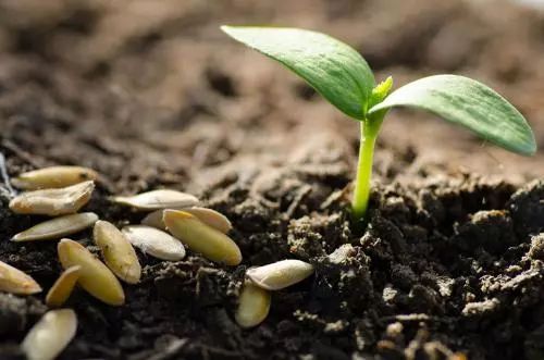 ɴԭVҪûЙC(j)