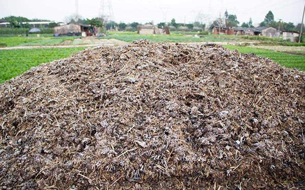 B(yng)ֳݼS㲻M(jn)аl(f)͵Σ