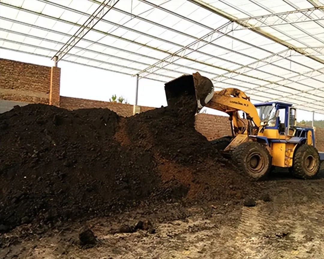 B(yng)ֳ(chng)ļSۿЙC(j)ʆ᣿