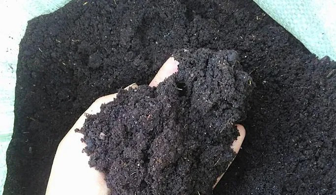 οĳ؅^(q)ǷЙCϑ(yng)Ј