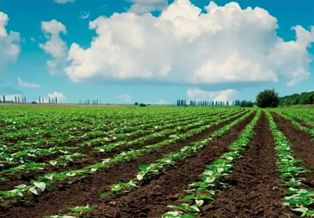 ҇(gu)Ҏ(gu)ģB(yng)ֳ(chng)ȫ׼S̎O(sh)ʩb